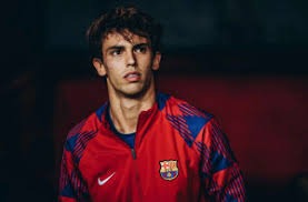 日本职棒球队球迷基础持续扩大