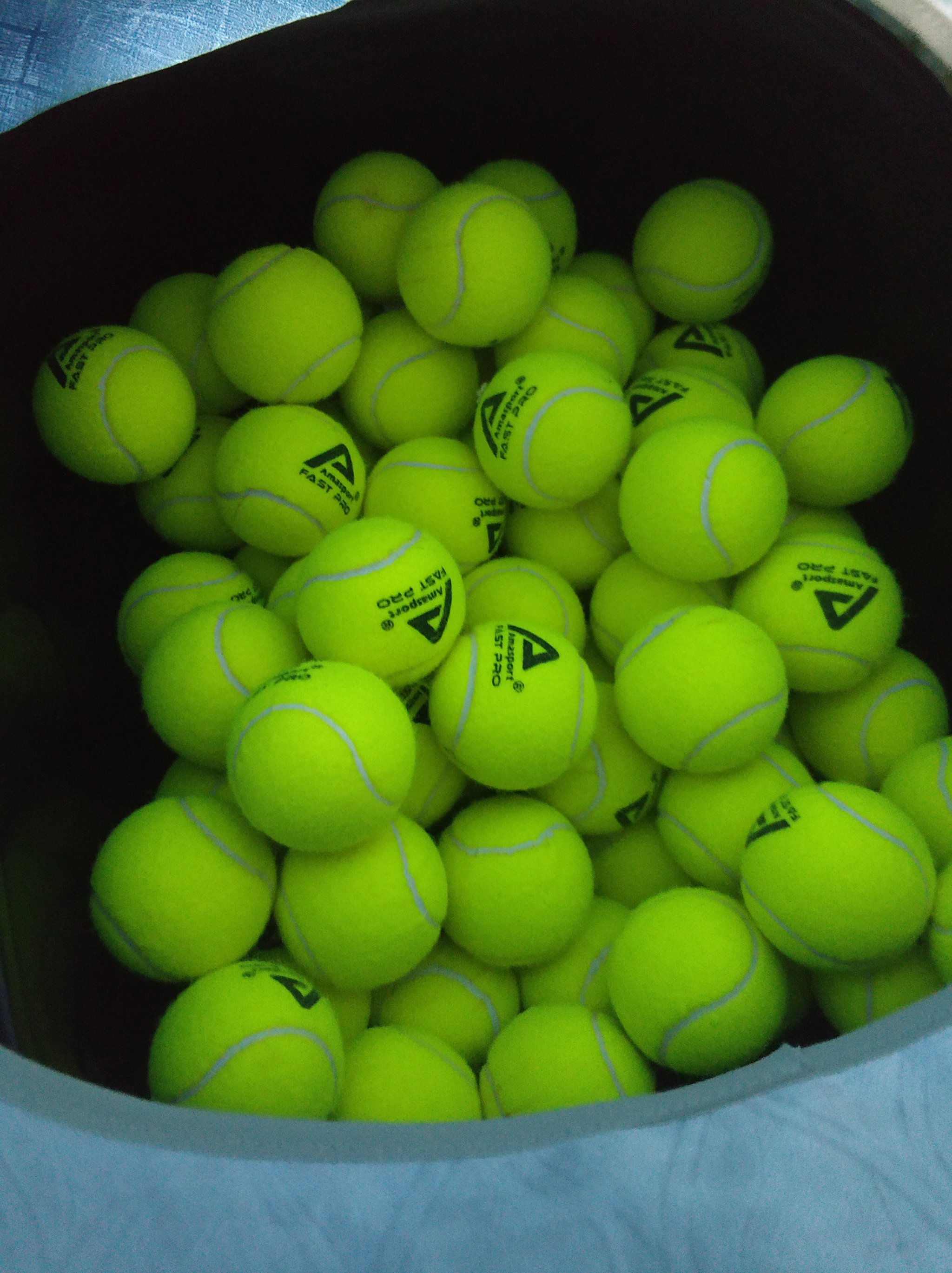 体育文化与 体育文化与