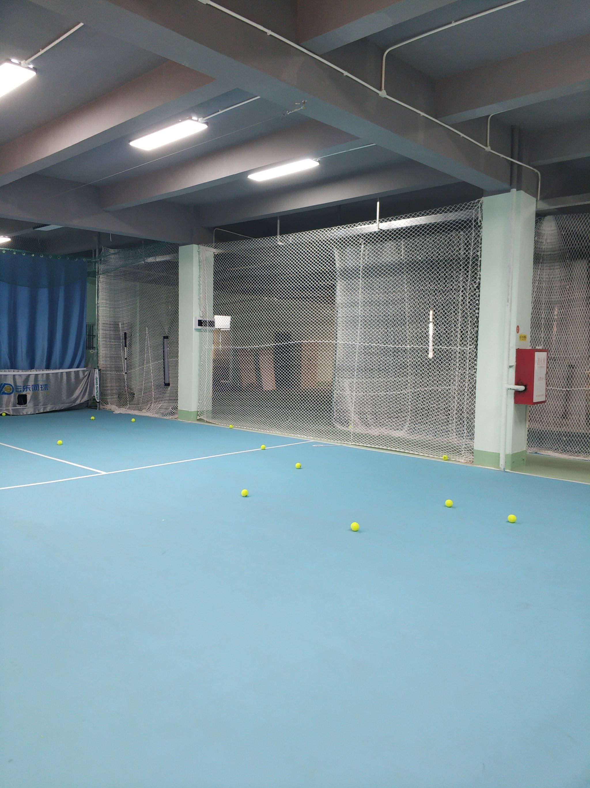 未来的主力 未来的主力